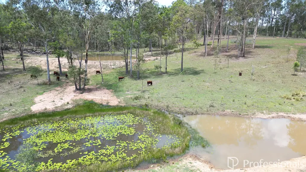 Owanyilla Lifestyle Acreage On The Bruce Highway