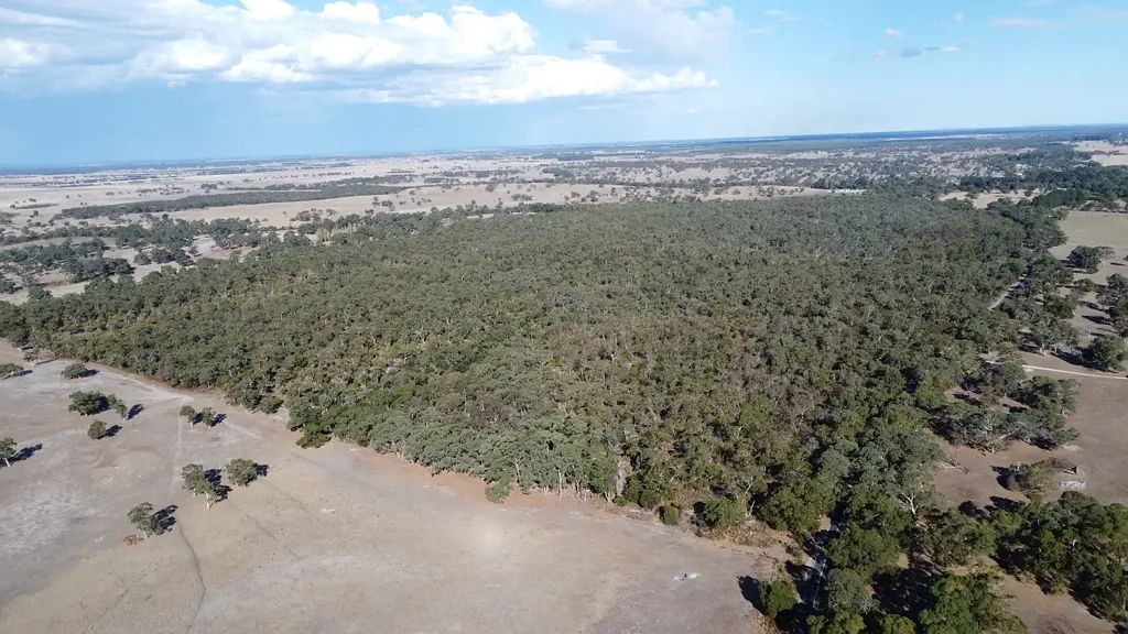 Lucindale Native Escape At Its best - Make an Offer