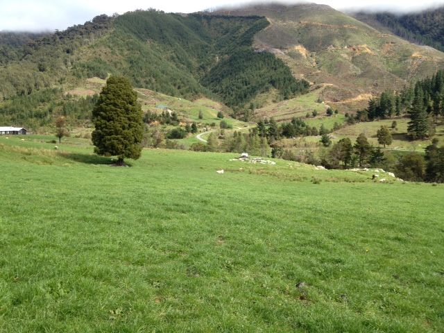 Tapps Road, Havelock, Marlborough, 0房, 1浴