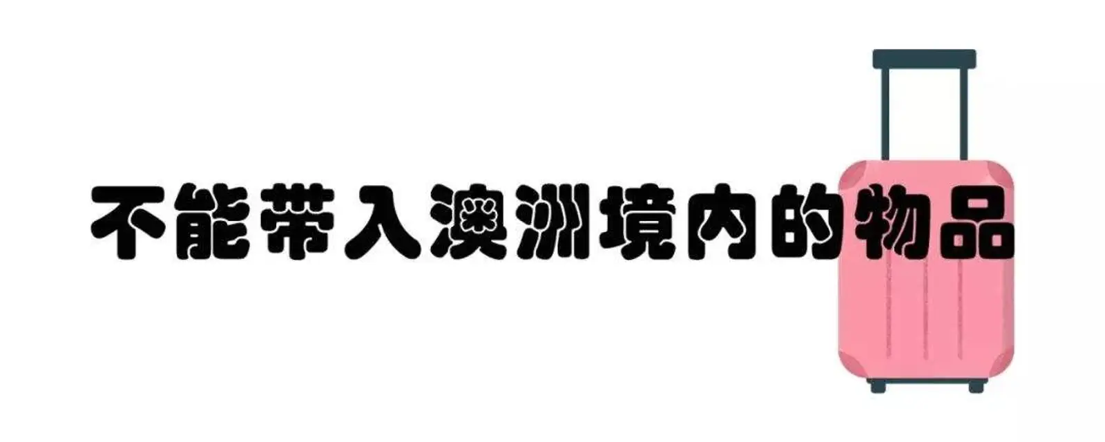 春节假期来了！这些东西千万不能带到澳洲哦！