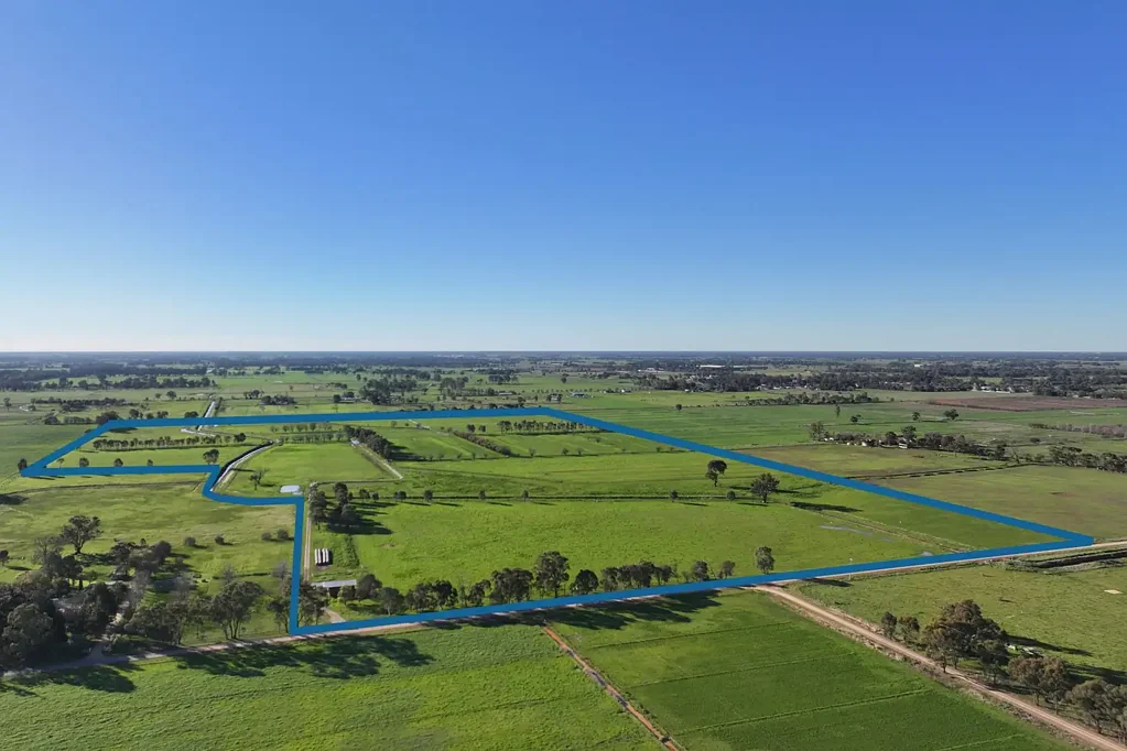Merrigum  BEEF GRAZING OPPORTUNITY