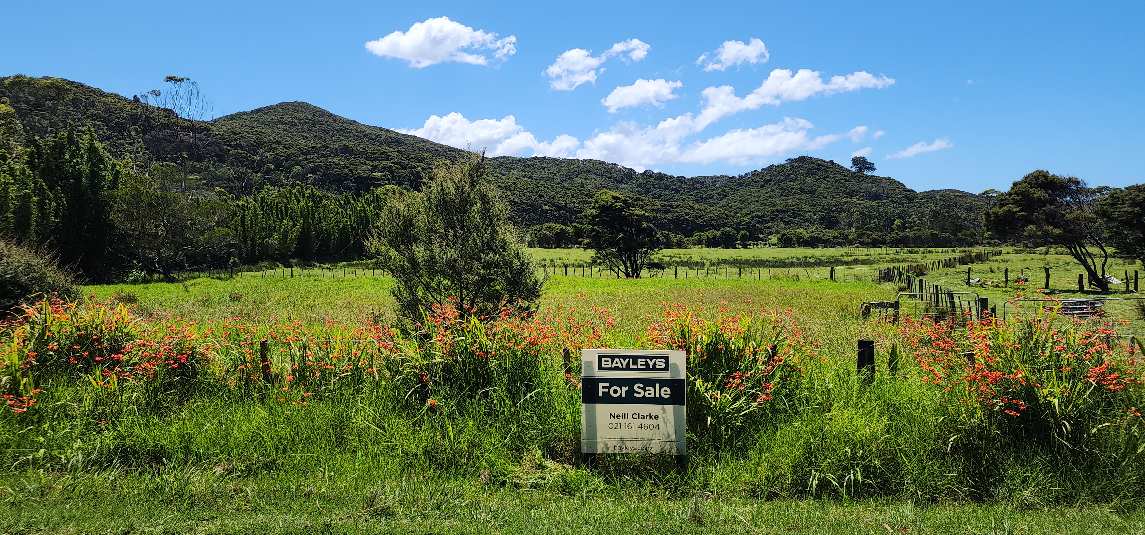 54 Mason Road, Great Barrier Island (Aotea Island), Auckland, 0 chambres, 0 salles de bain, Lifestyle Section