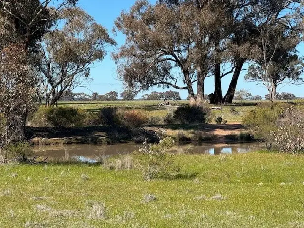 Wedderburn 8 TITLES - 428 ACRES BUSHLAND & GRAZING OPPORTUNITY!