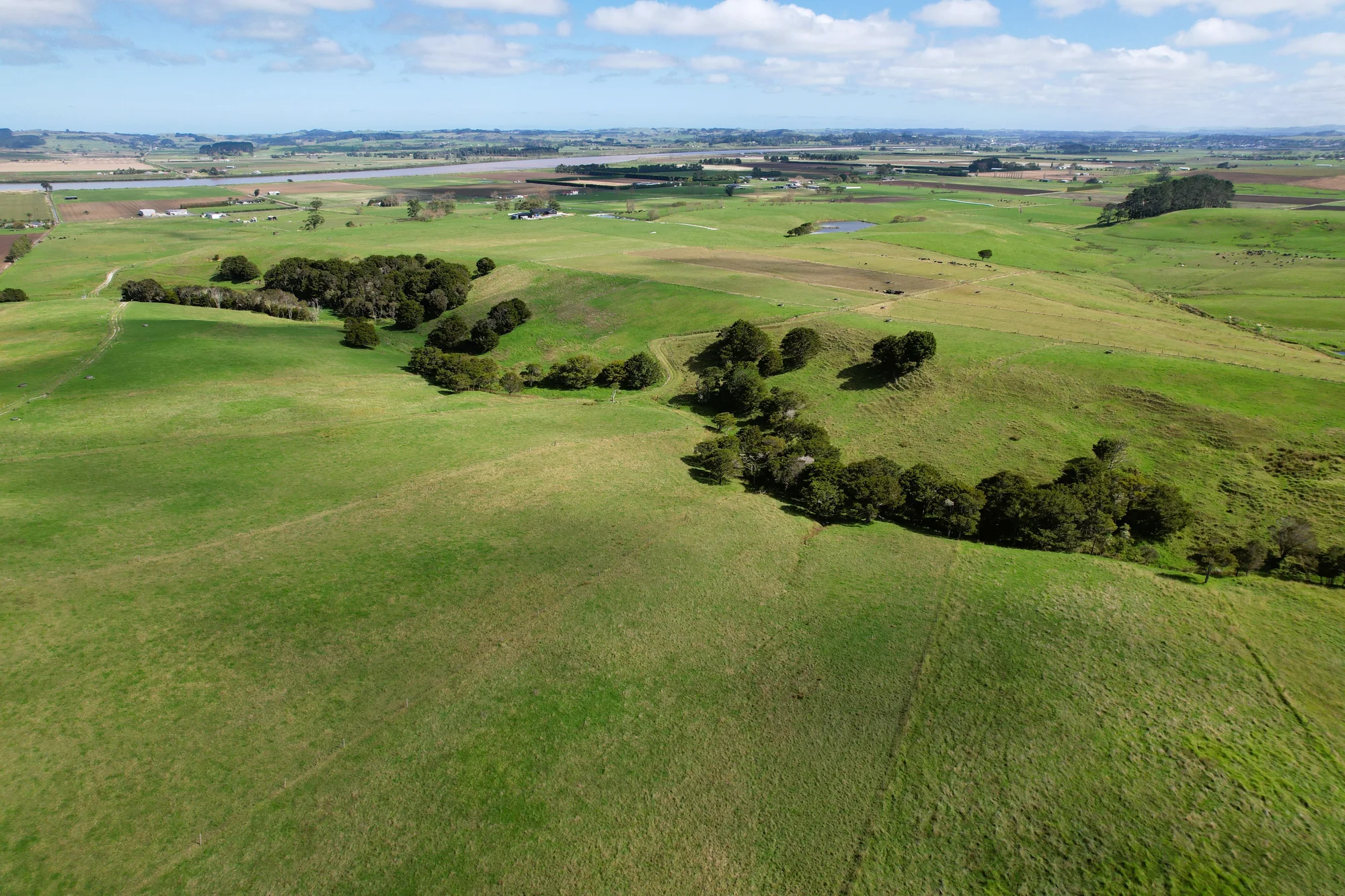 Dargaville Outstanding Support Block, Hobby Farm