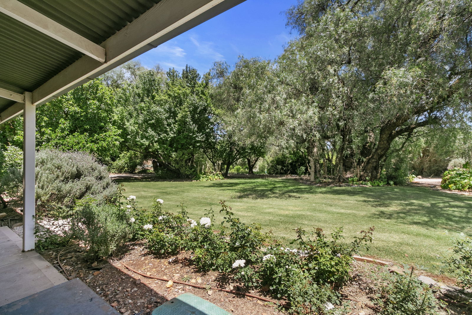 5 PENGLAWDD ST, BURRA SA 5417, 0房, 0浴, Lifestyle Property