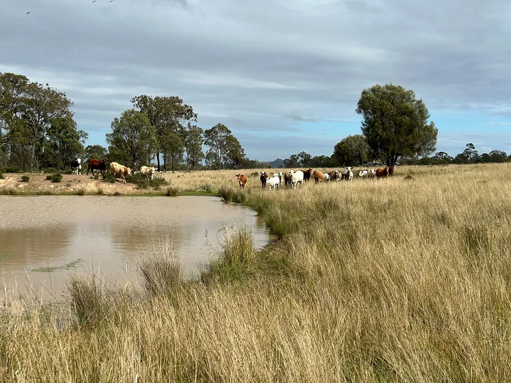 Lot 1 & 3 Kampfs Road, Goombungee, QLD 4354