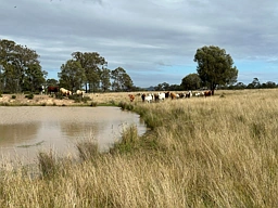 Lot 1 & 3 Kampfs Road, Goombungee
