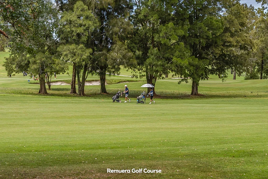 Saint Johns 4房  Neighbouring the Remuera Golf Course