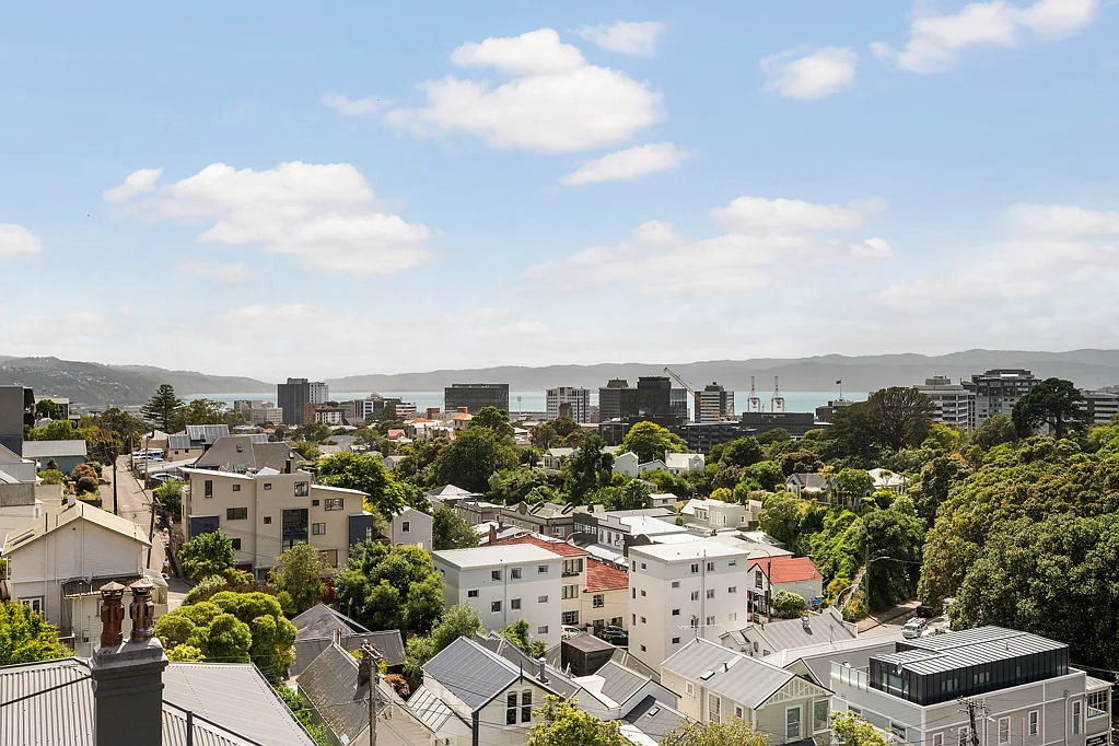6/24 Patanga Crescent, Thorndon, Wellington