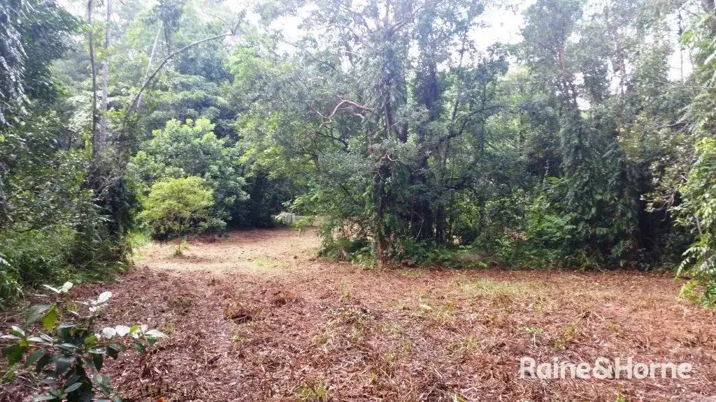 68 Forest Creek Road, Daintree, QLD 4873