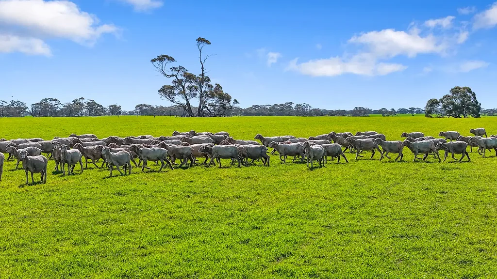 Yumali  'Yumali' - Versatile Rural Holding on 806ha Across 3 Titles.