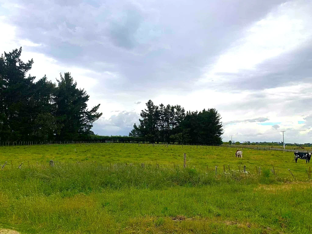 Tikokino Exceptional Development Opportunity