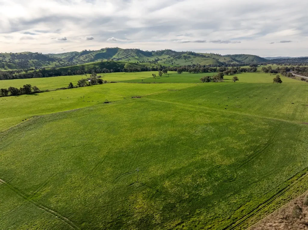 South Gundagai Bidgee Flats - Production – Perfection – Performance