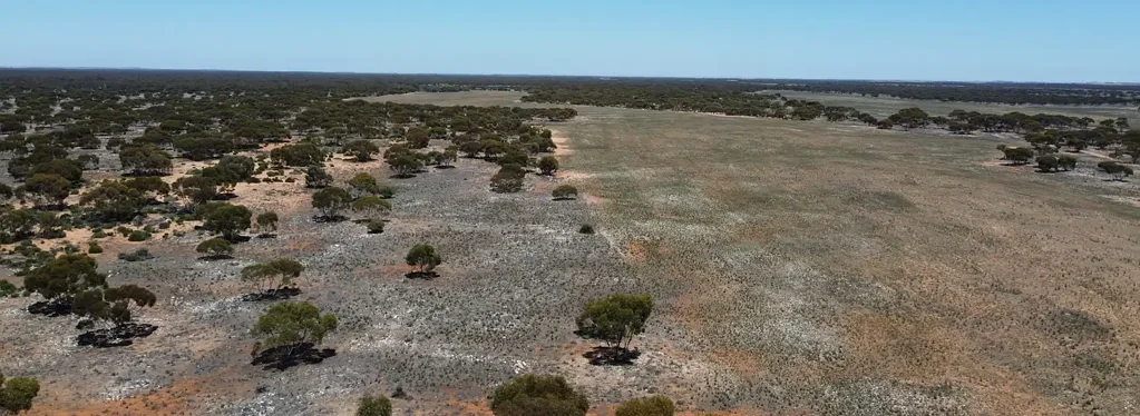 Mantung  GRAZING, CROPPING, BIODIVERSITY, VALUE