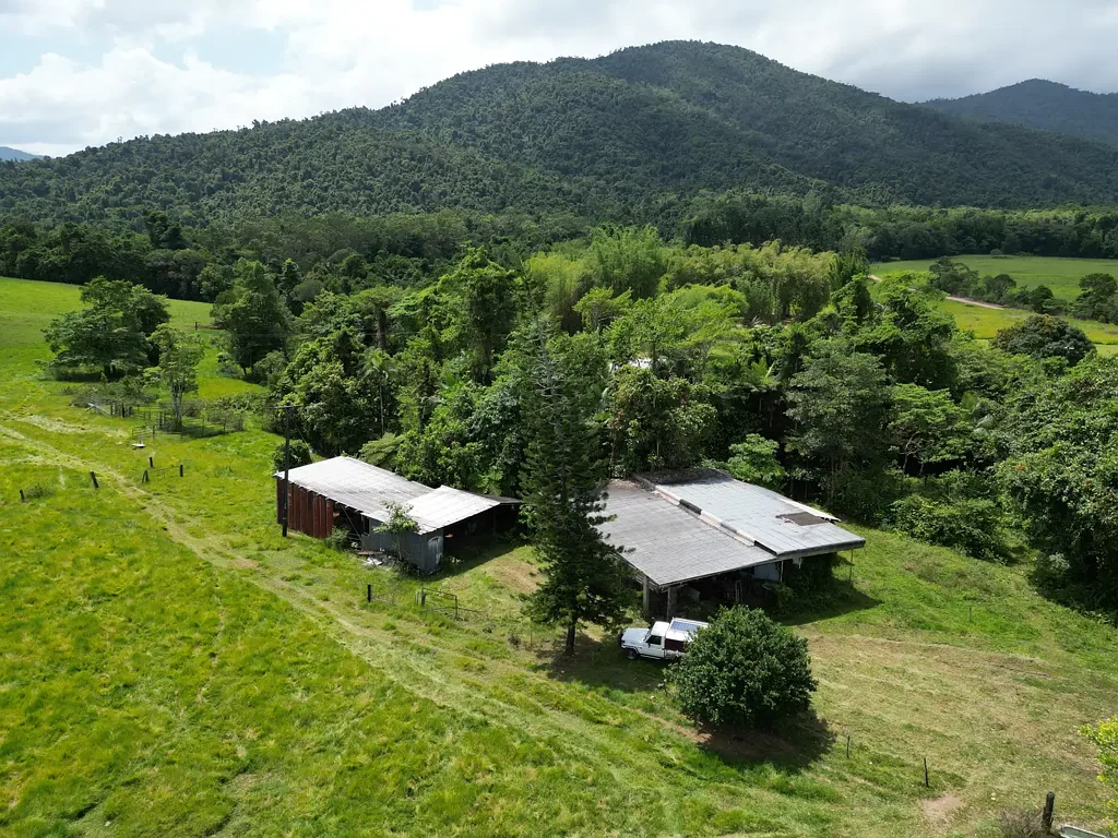 Feluga Diamond in the Rough !