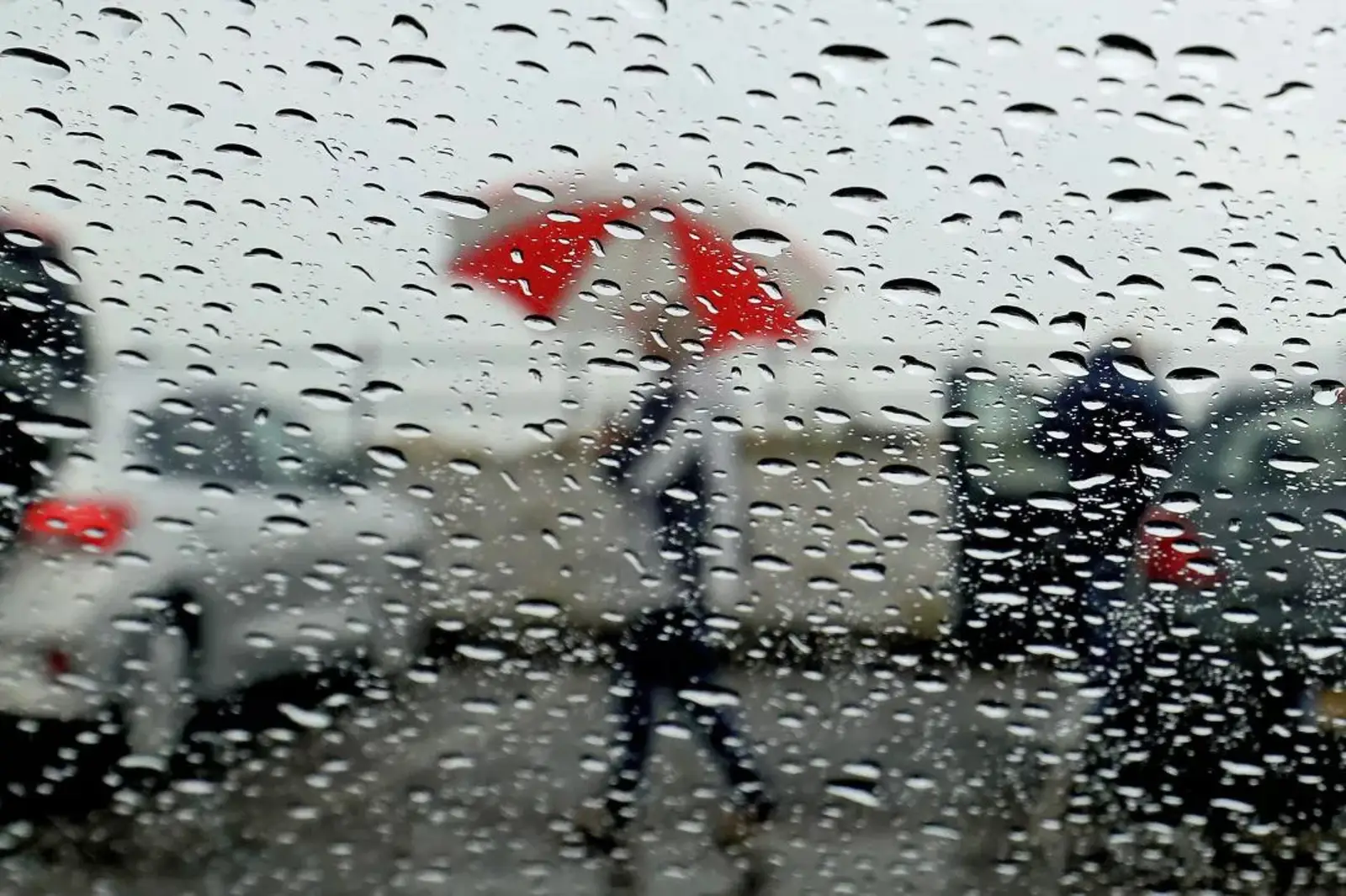 极端恶劣天气袭击三州地区，暴雨+龙卷风齐上阵…