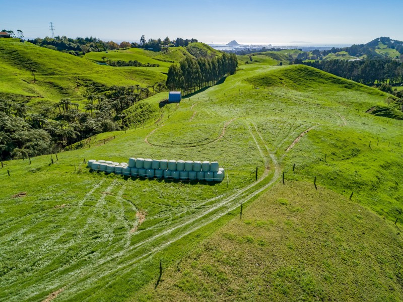 103e Rowe Road, Ohauiti, Tauranga, 4房, 0浴