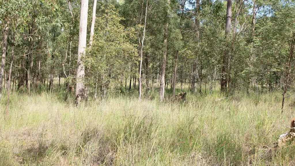 LOT 1/MPH22655 Burnett Highway, Eidsvold, QLD 4627