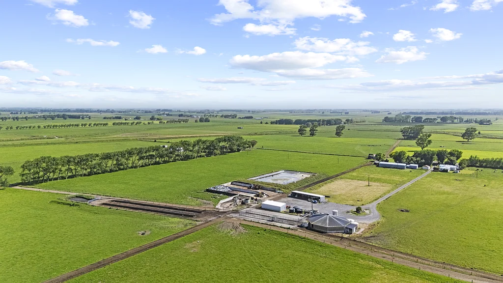 Tokomaru Tokomaru farm - Large scale, fertile dairy unit