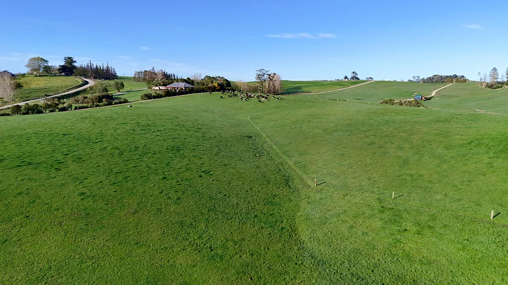 Wellsford Prime Passive Farm Investment Opportunity