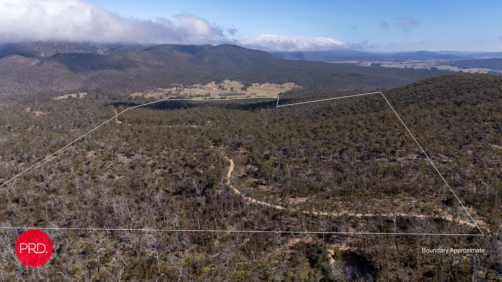 388 PEAK VIEW RD, NUMERALLA NSW 2630, 0 રૂમ, 0 બાથરૂમ, Lifestyle Property