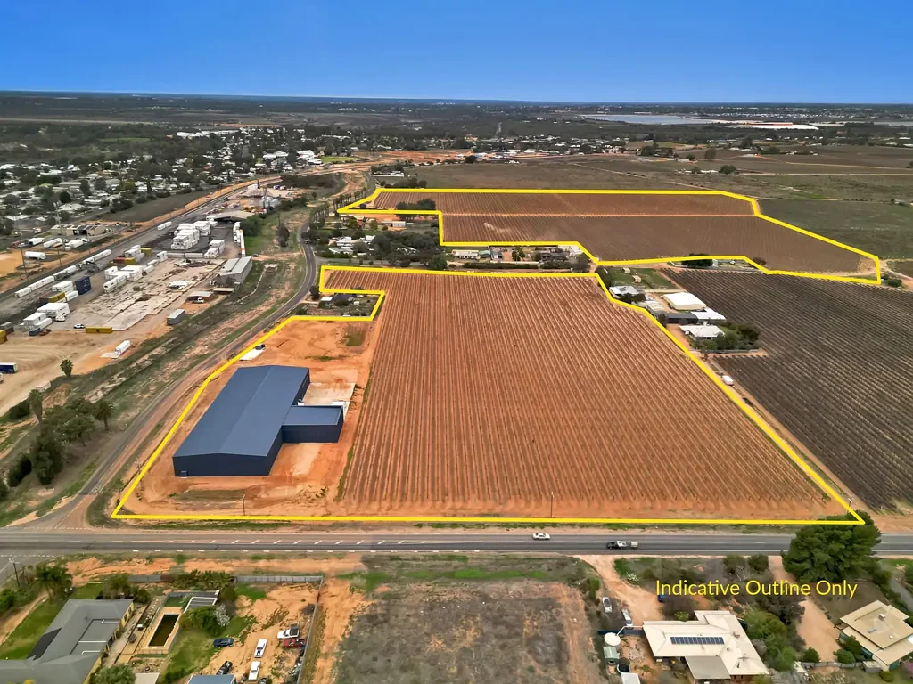 Merbein  Investment-grade Merbein vineyard with patented varieties