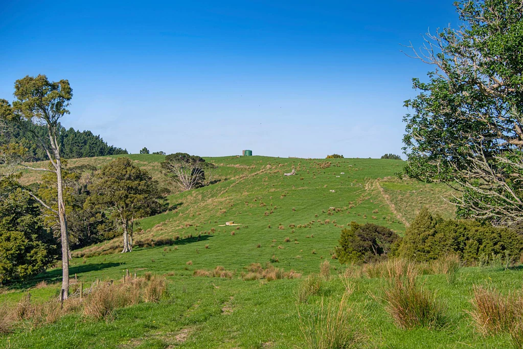 Helensville The High-Country Heart