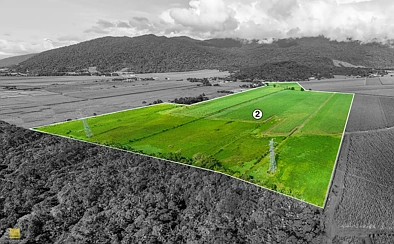 Bellenden Ker Approximately 94 Acres of Opportunity