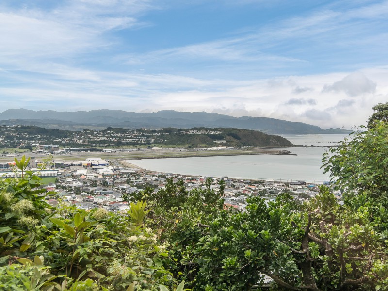 19 Sutherland Crescent, Melrose, Wellington, 4房, 0浴