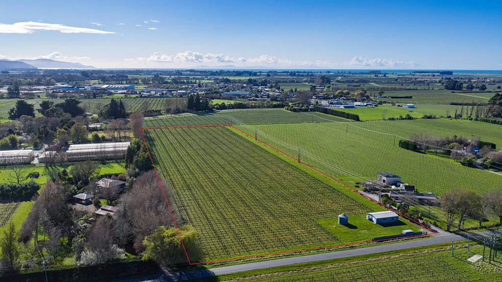 Spring Creek Premium location, proven vines, future potential