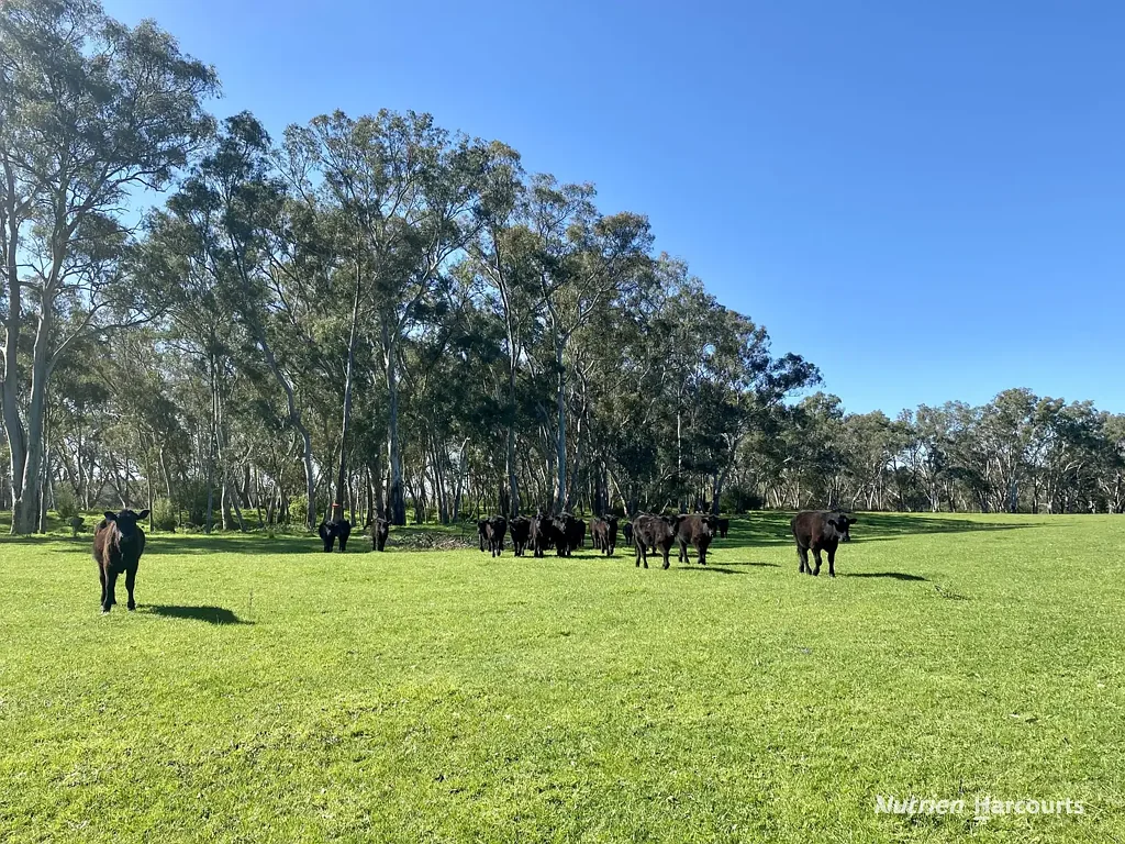Bahgallah Glenelg River Retreat.