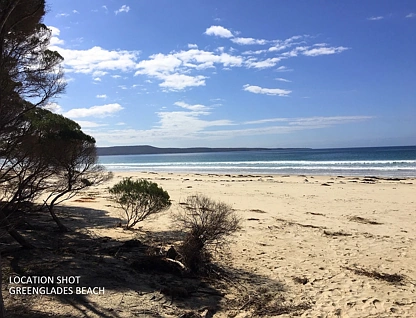Lot 262 Adelaide Avenue Wonboyn Via, Eden, South Coast, 0房, 0浴, Lifestyle Property