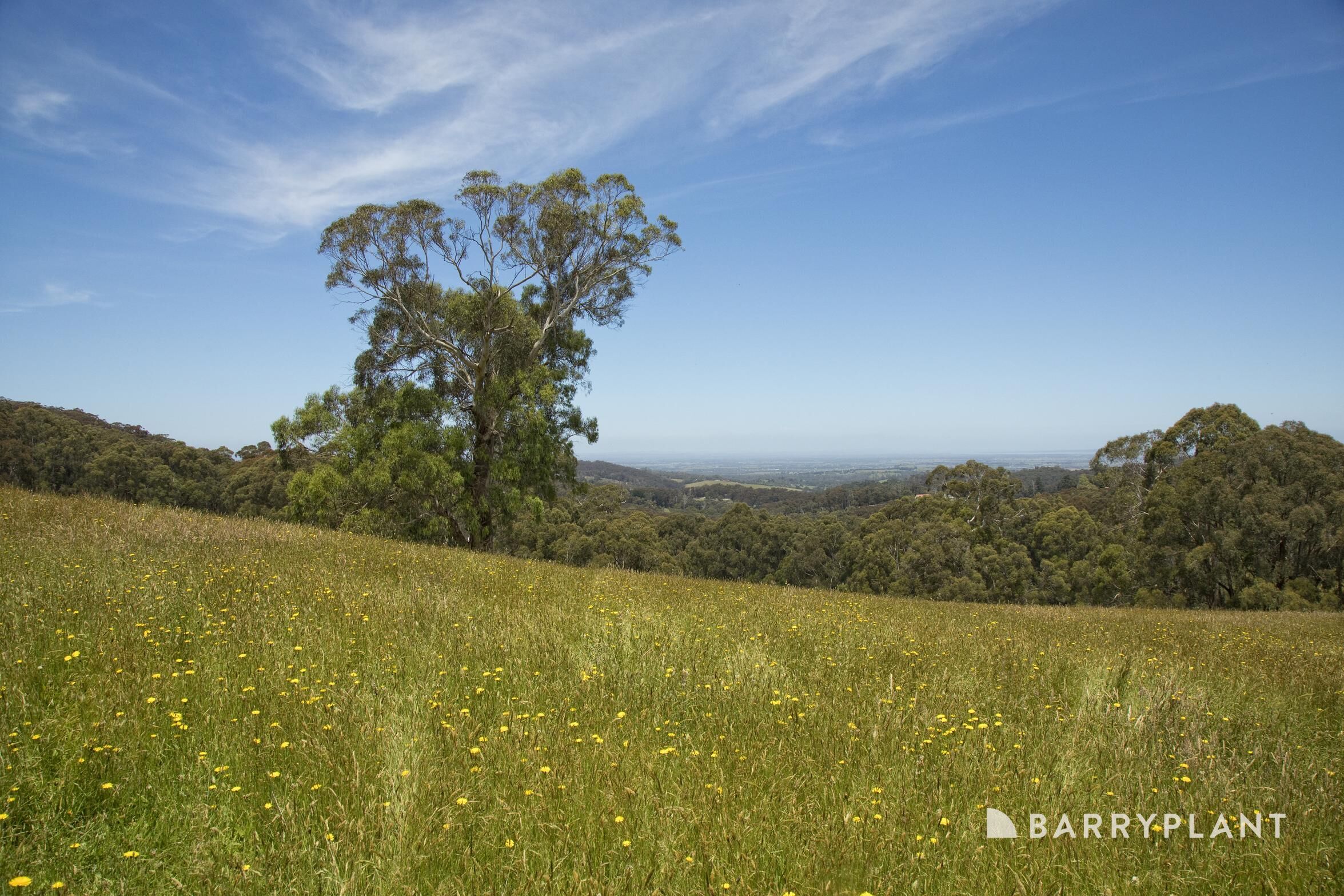 230 MT EIRENE RD, GEMBROOK VIC 3783, 0 chambres, 0 salles de bain, Section