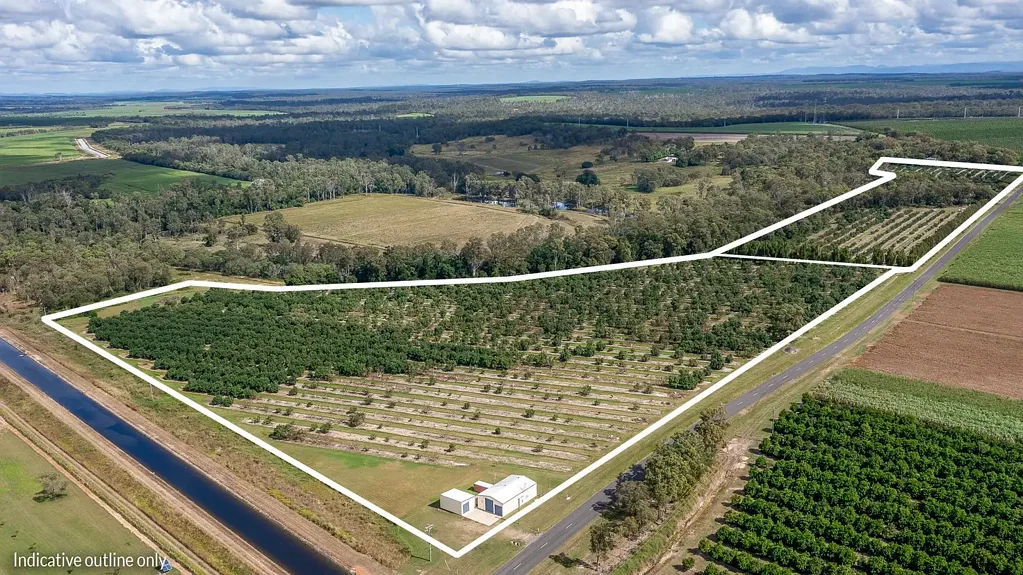 North Gregory  "Avo Haven"