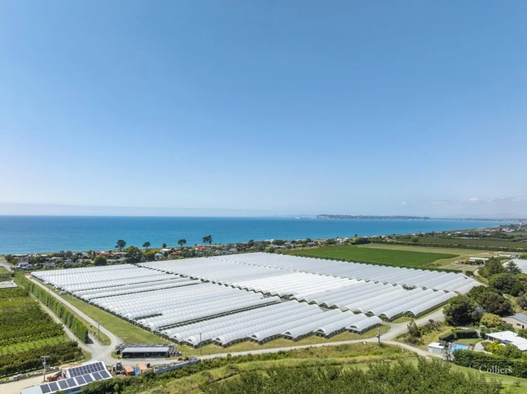 Bay View Quality Investment Opportunity