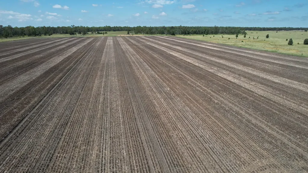 " Lindeman ", Ducklo, QLD 4405