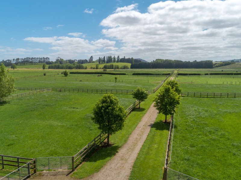 269 Bellevue Road, Matangi, Waikato, 0 rūma, 0 rūma horoi