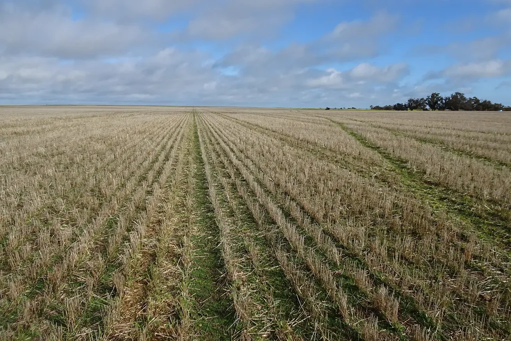East Wickepin East Wickepin Farm with Passive Income Stream