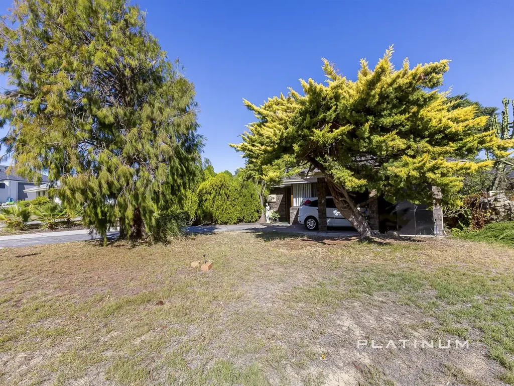 205 Camberwarra Drive, Craigie, WA 6025