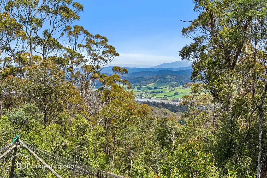 291 Guys Road, Cygnet, TAS 7112