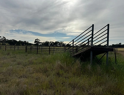 'Kaisar Hill' Fitzgerald Road, West Wyalong, Riverina, 0 Bedrooms, 0 Bathrooms, Lifestyle Property