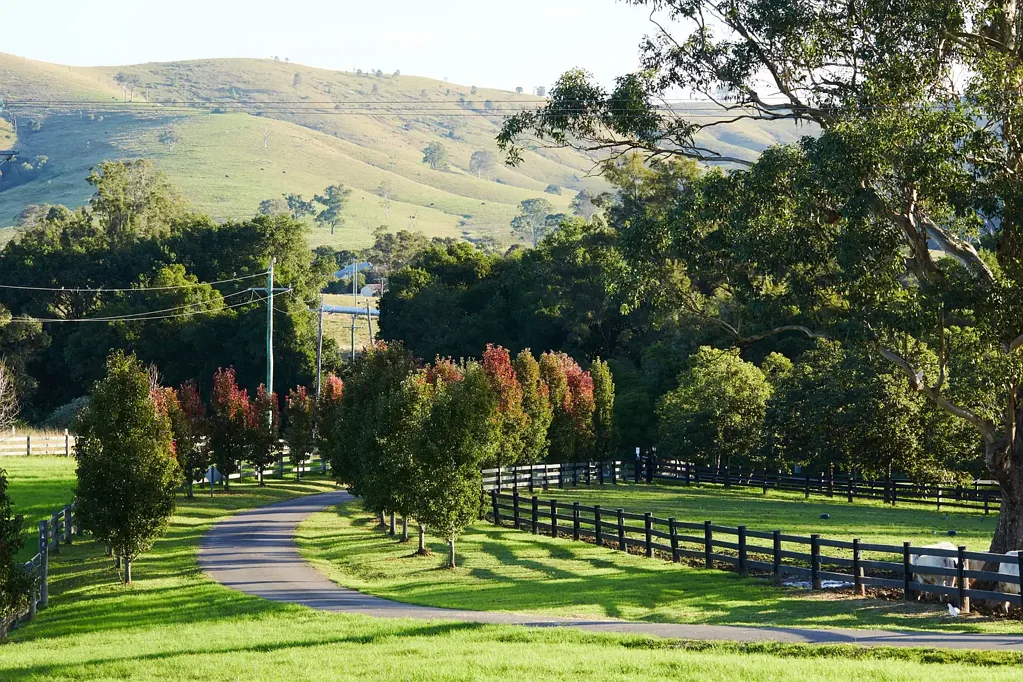 564 Chichester Dam Road, Bendolba Via, Dungog, NSW 2420