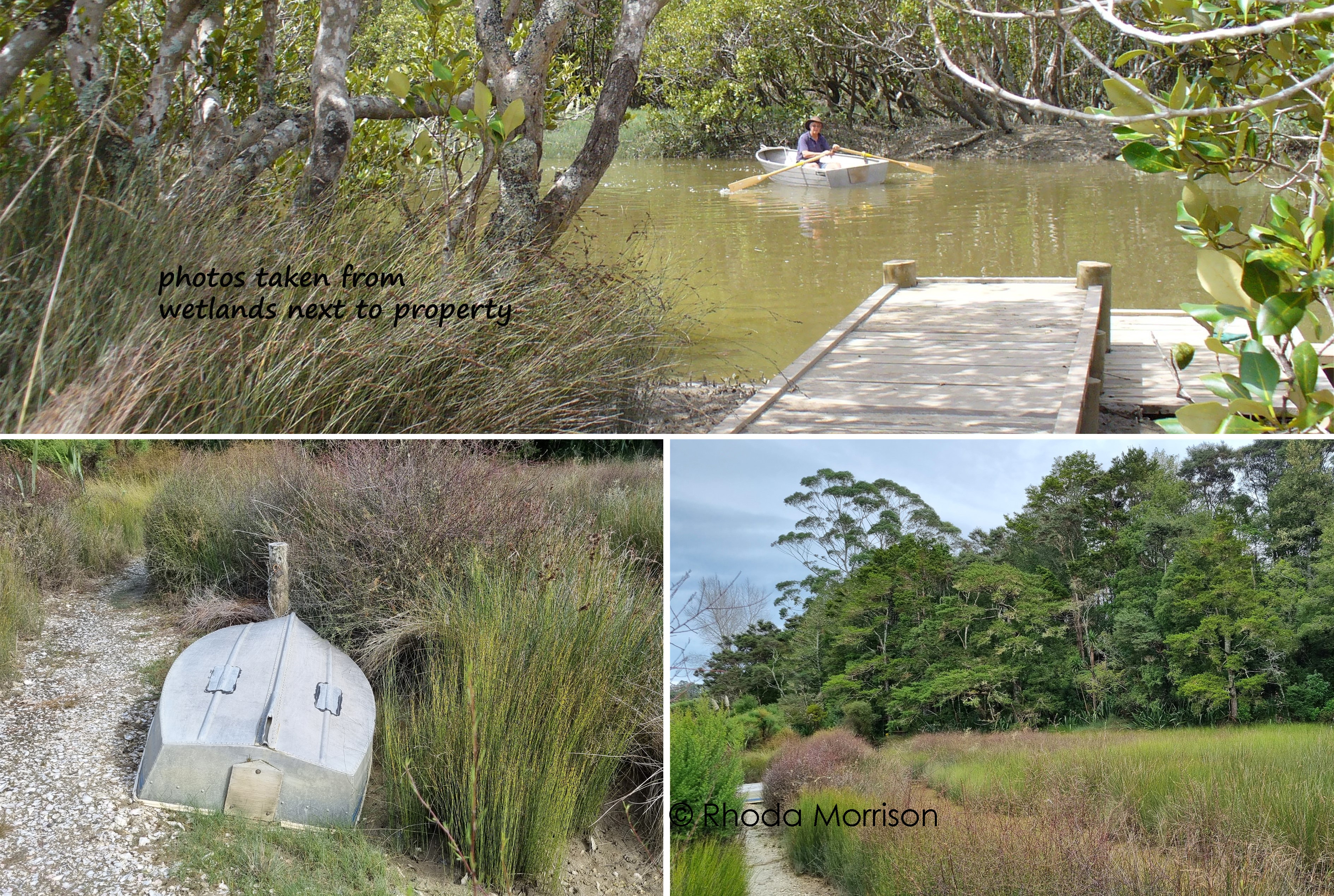 65 Pahi Road, Paparoa, Kaipara, 3 habitaciones, 0 baños