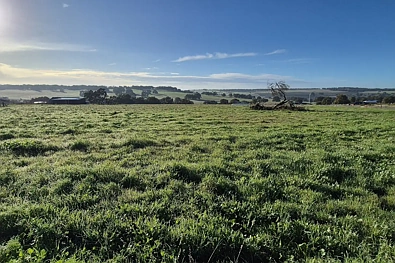 LOT 152 Warru Road, Ginginup, WA 6503, 0 Schlafzimmer, 0 Badezimmer, Section