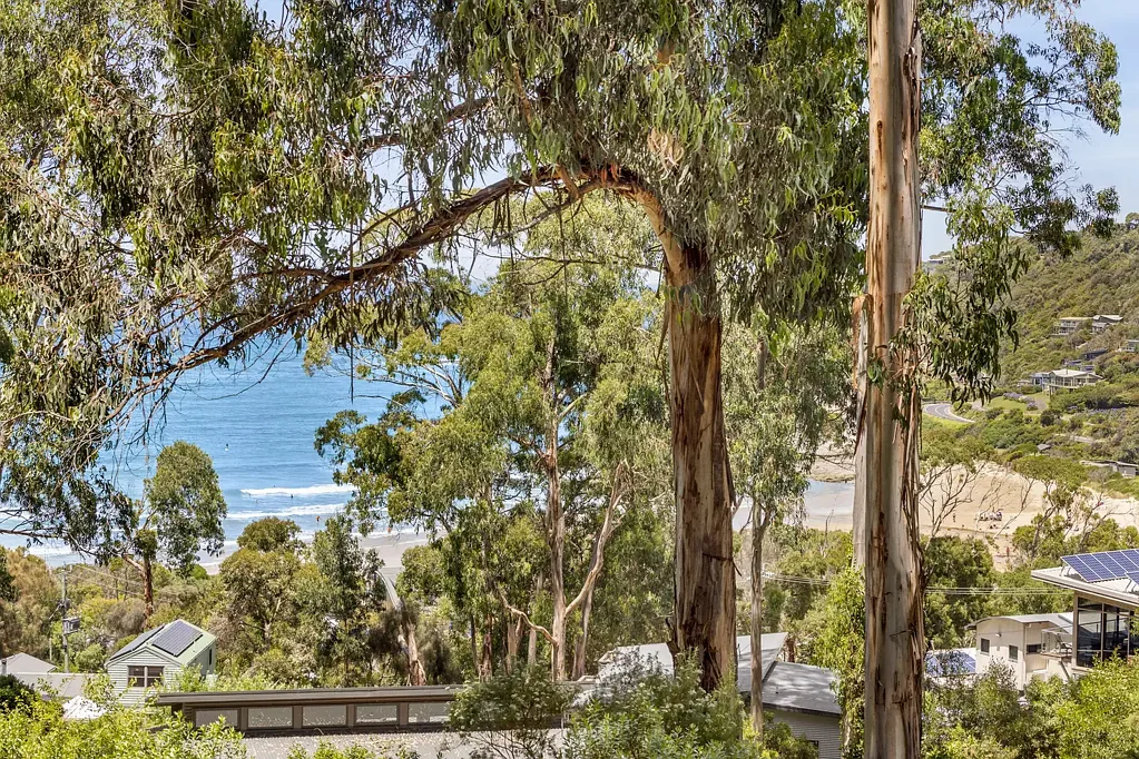 Wye River BIRDS EYE VIEW!