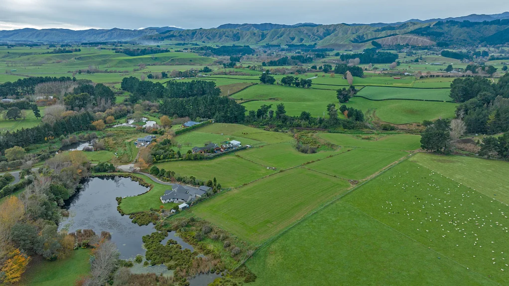 Levin Rare gem - lifestyle retreat