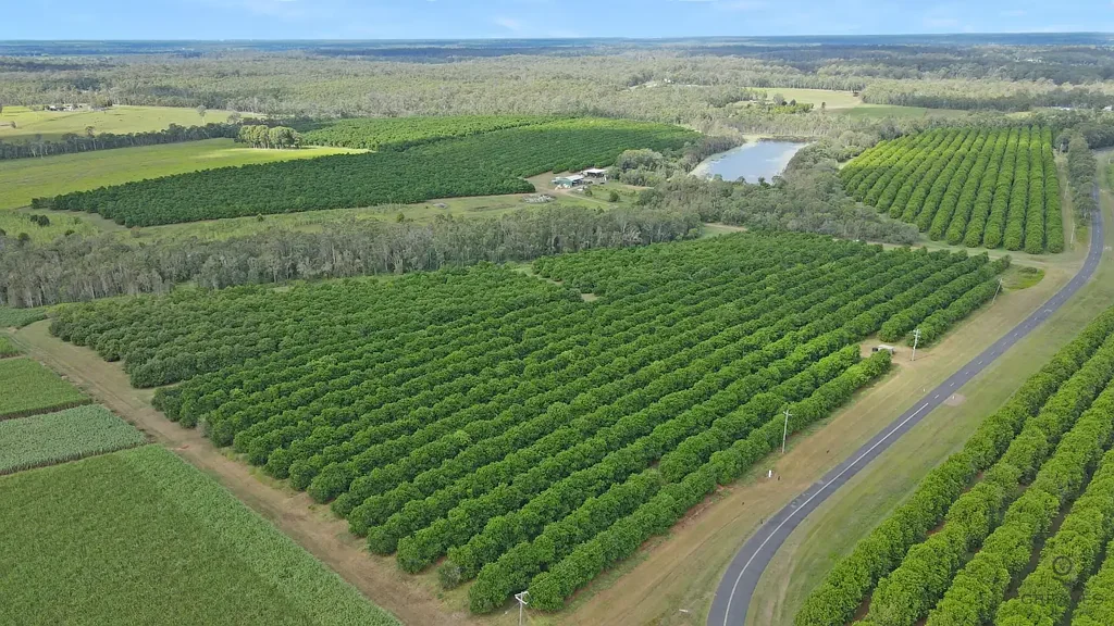 Avondale 187 Acre Macadamia Orchard Opportunity – Dual Titles with High-Yield Potential