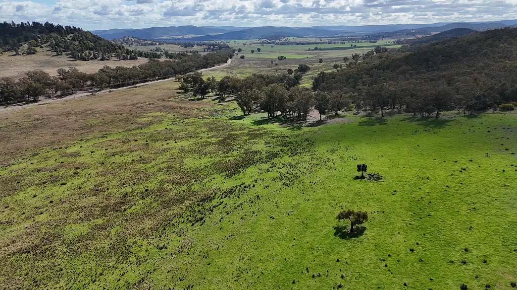 Eugowra Productive Finishing & Farming Country with Post Card Views