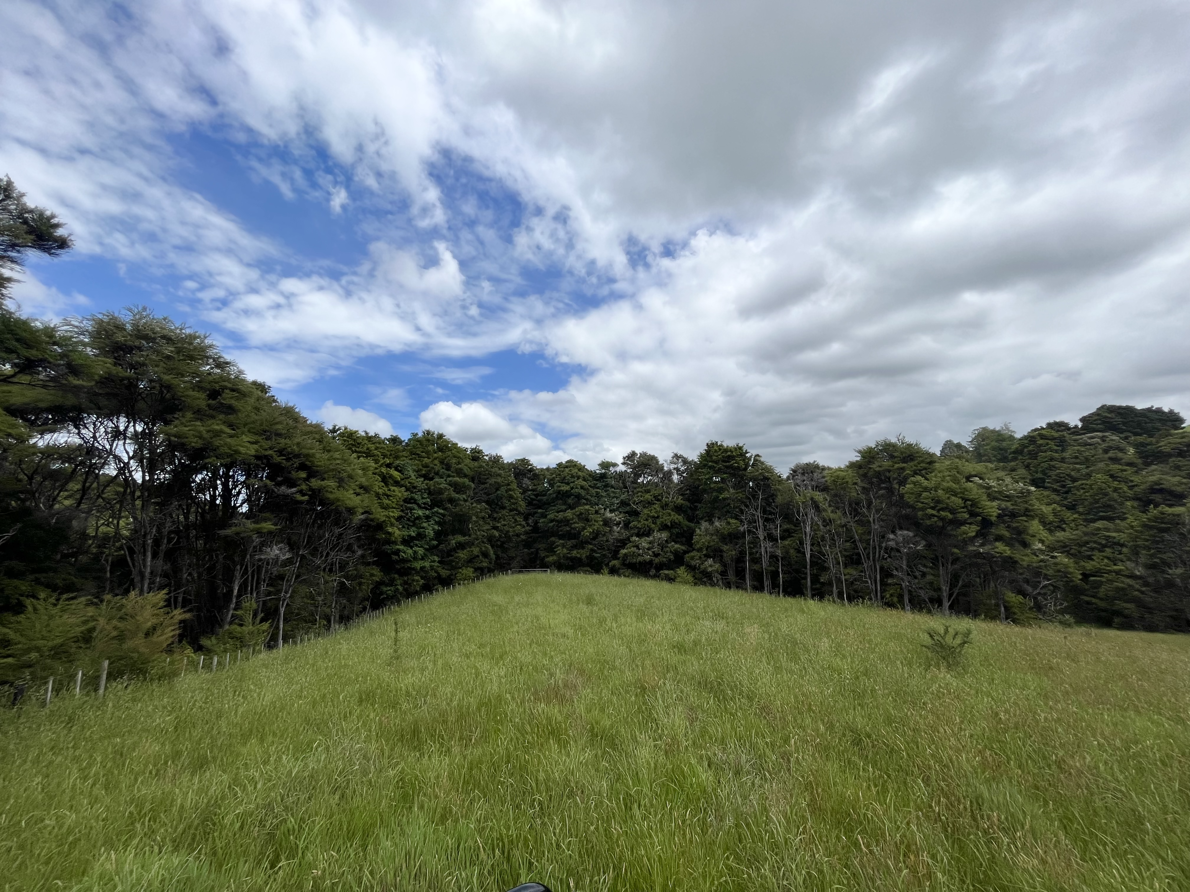 Franklin Road, Paparoa, Kaipara, 0房, 1浴, Lifestyle Section