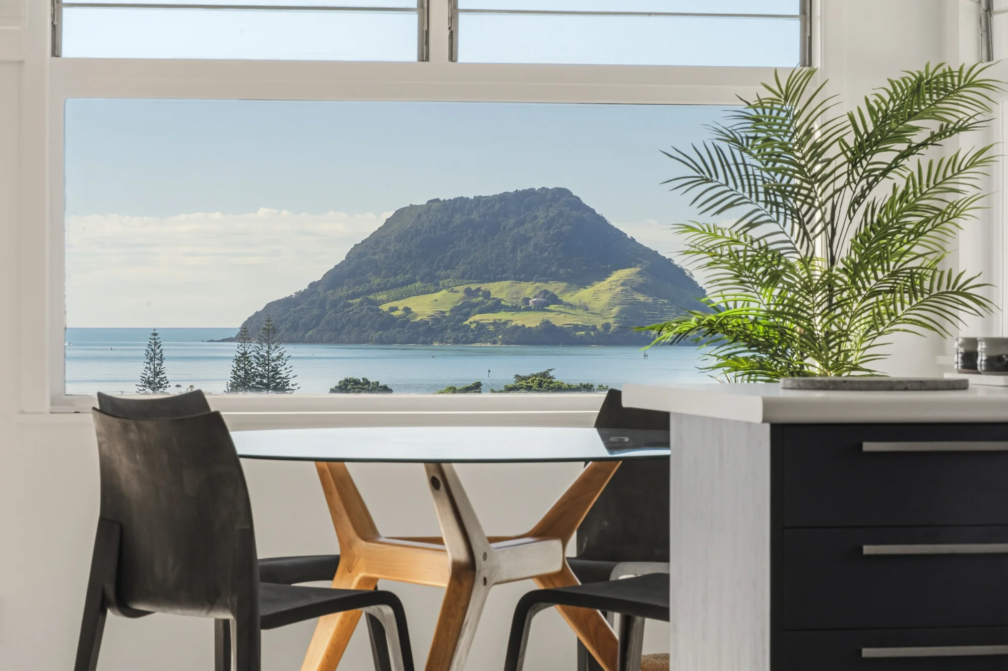 Otumoetai 5房 Iconic New Zealand Harbour View